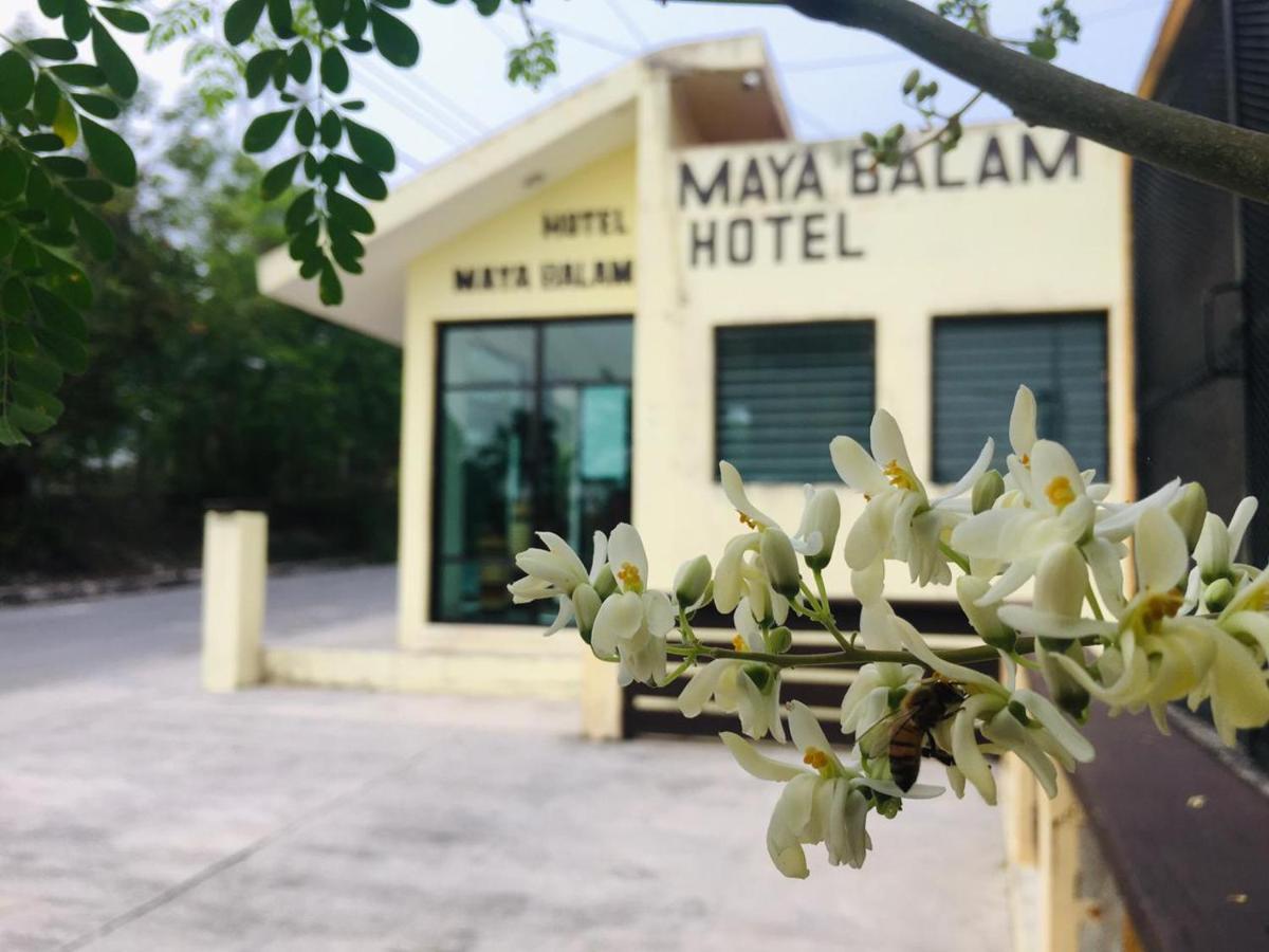 Hotel Maya Balam Xpujil Kültér fotó
